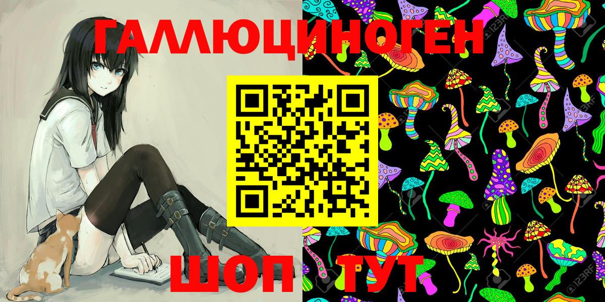 Псилоцибиновые грибы Psilocybe  Вход с VPN  Псилоцибиновые грибы GOLDEN TEACHER  Чебоксары 